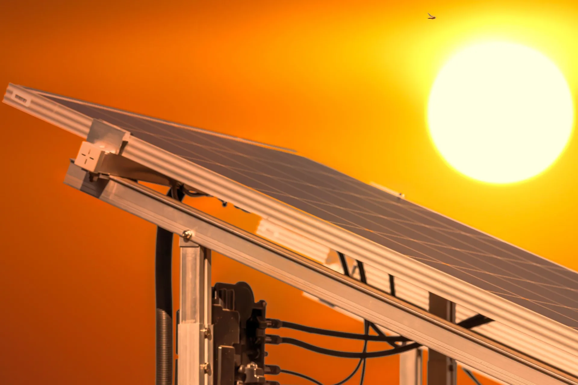 Why Summer is the Prime Time for Solar Panels
